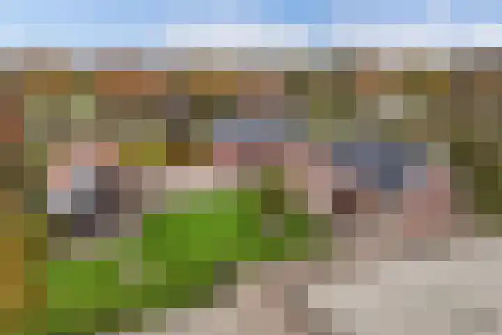 Tjalling Harkeswei 63 Hemrik thumbnail 59