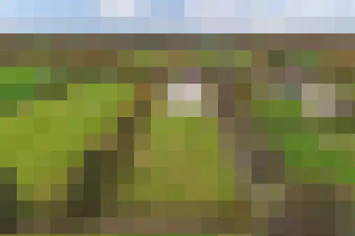 Tjalling Harkeswei 63 Hemrik thumbnail 60