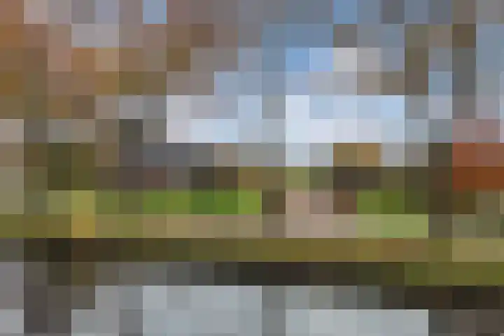 Tjalling Harkeswei 63 Hemrik thumbnail 64