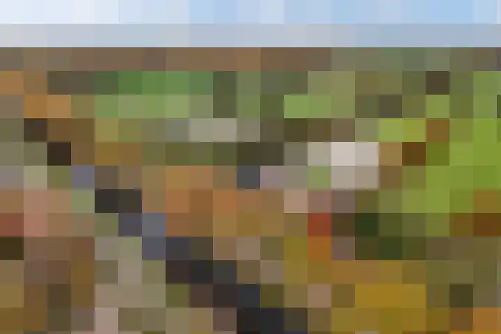 Tjalling Harkeswei 63 Hemrik thumbnail 65