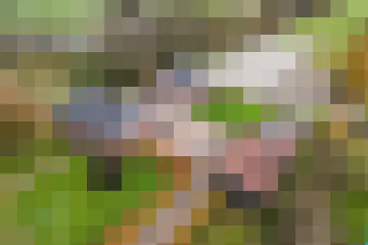 Tjalling Harkeswei 63 Hemrik thumbnail 66