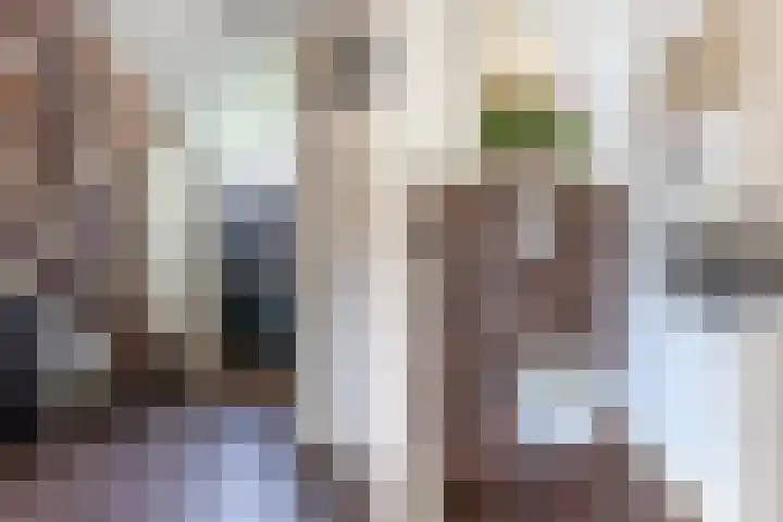 Tjalling Harkeswei 63 Hemrik thumbnail 8