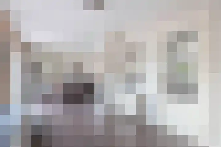 Tjalling Harkeswei 63 Hemrik thumbnail 9