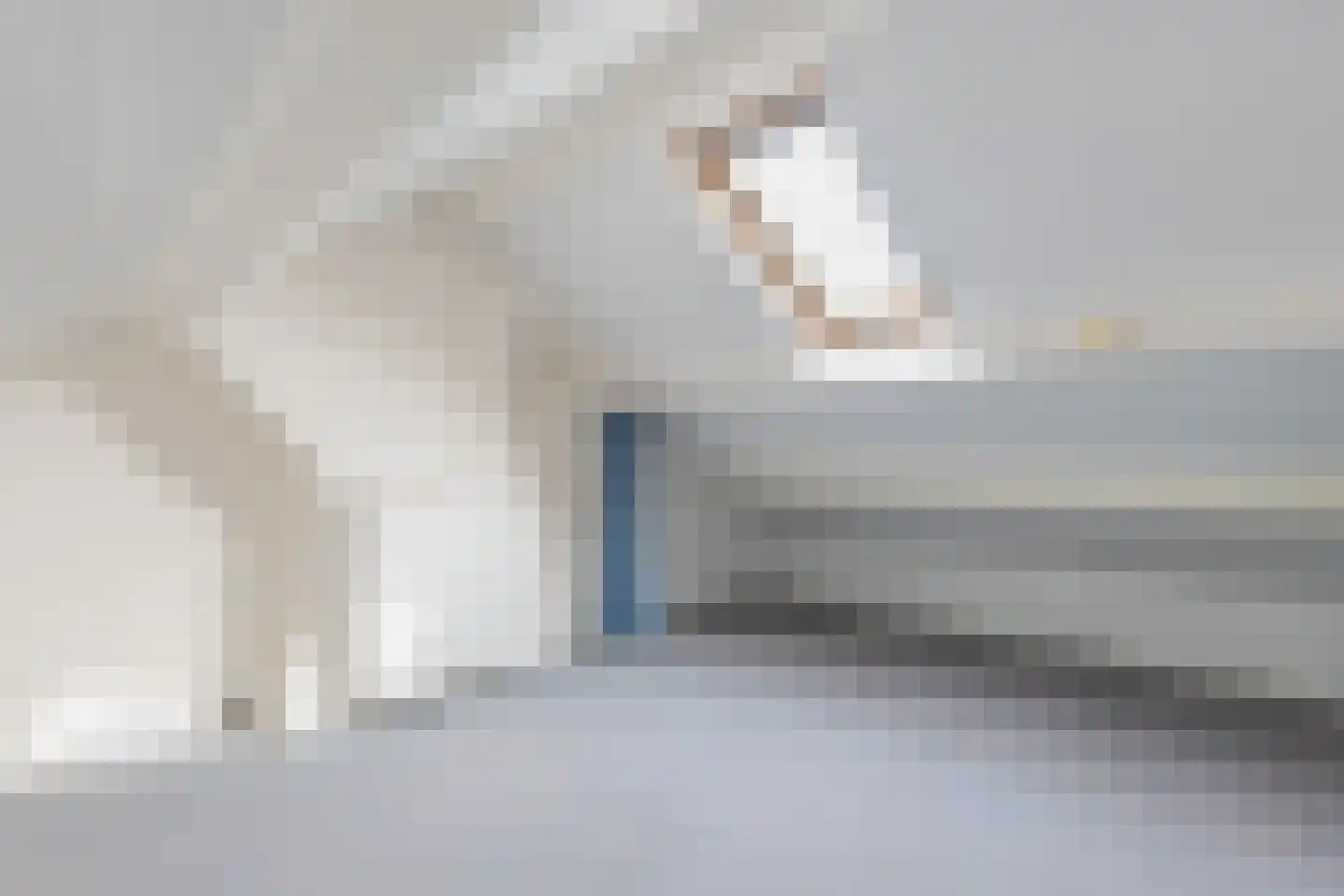 Tjalling Wagenaarstraat 13 Drachten thumbnail 39