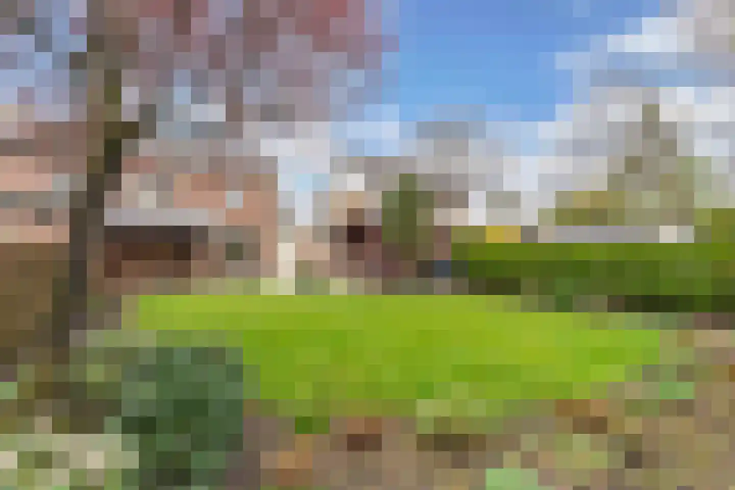Tjalling Wagenaarstraat 13 Drachten thumbnail 46