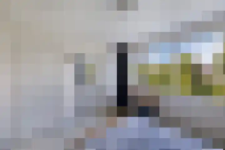 Tjalling Wagenaarstraat 20 Drachten thumbnail 27