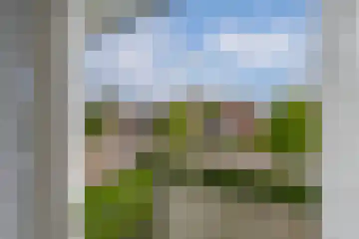 Tjalling Wagenaarstraat 20 Drachten thumbnail 31