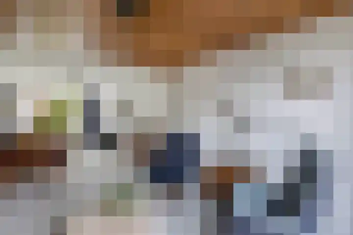 Tjalling Wagenaarstraat 20 Drachten thumbnail 8