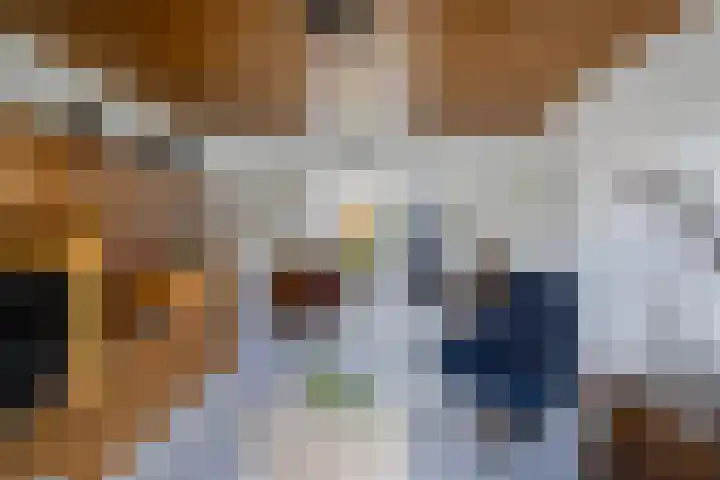 Tjalling Wagenaarstraat 20 Drachten thumbnail 9