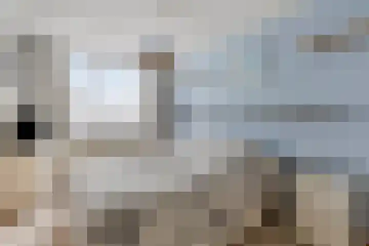 Tjamme 26 Veendam thumbnail 29