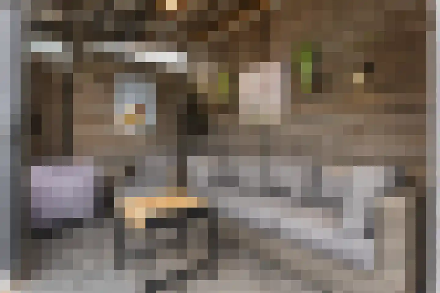 Tjamme 32 Veendam thumbnail 33