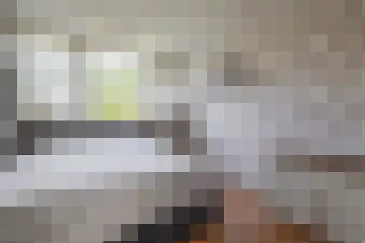 Tjamme 79 Veendam thumbnail 20