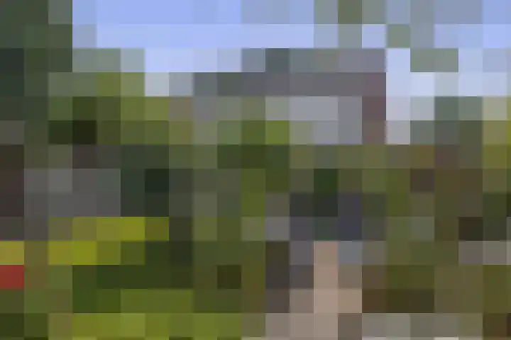 Tjamme 79 Veendam thumbnail 24
