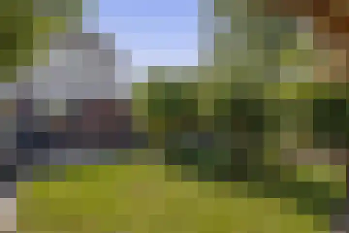 Tjamme 79 Veendam thumbnail 25