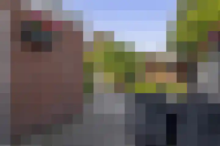 Tjamme 79 Veendam thumbnail 26