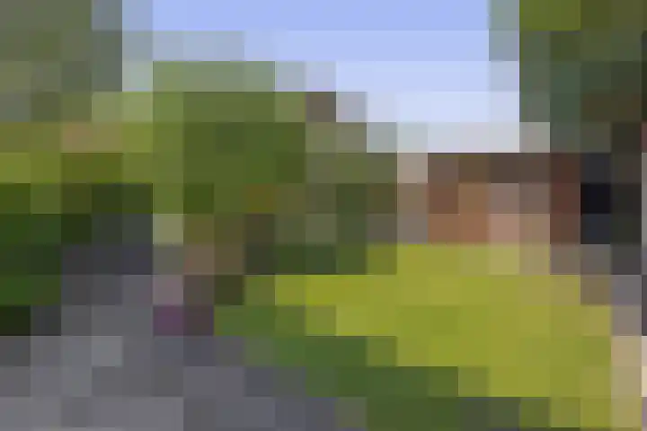 Tjamme 79 Veendam thumbnail 27