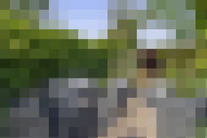 Tjamme 79 Veendam thumbnail 28