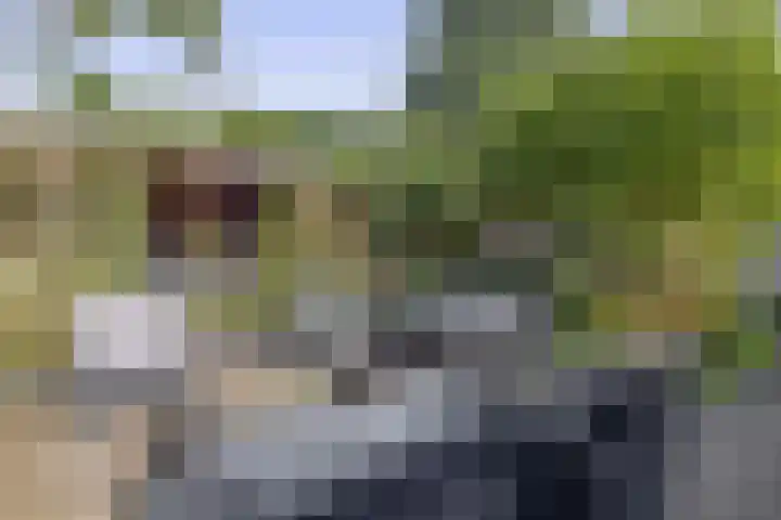 Tjamme 79 Veendam thumbnail 29