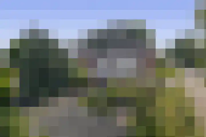 Tjamme 79 Veendam thumbnail 30