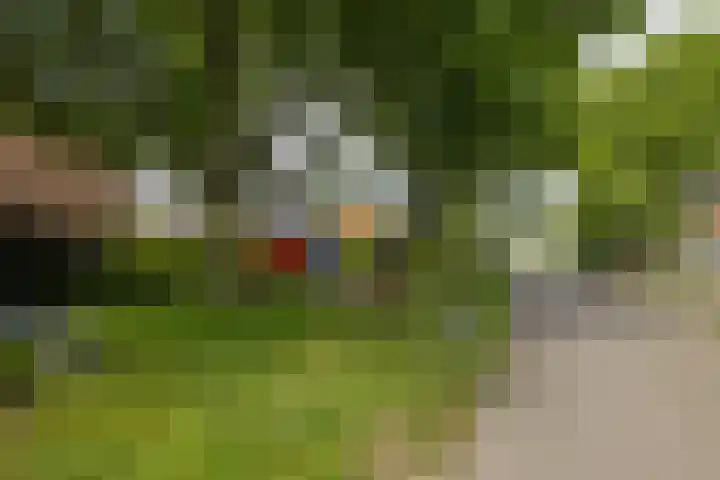 Tjamme 79 Veendam thumbnail 32