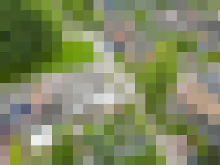 Tjamme 79 Veendam thumbnail 34