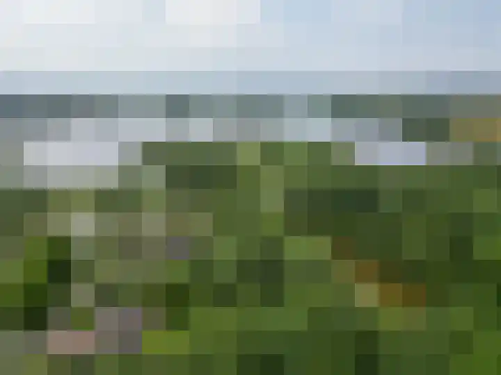 Tjamme 79 Veendam thumbnail 36