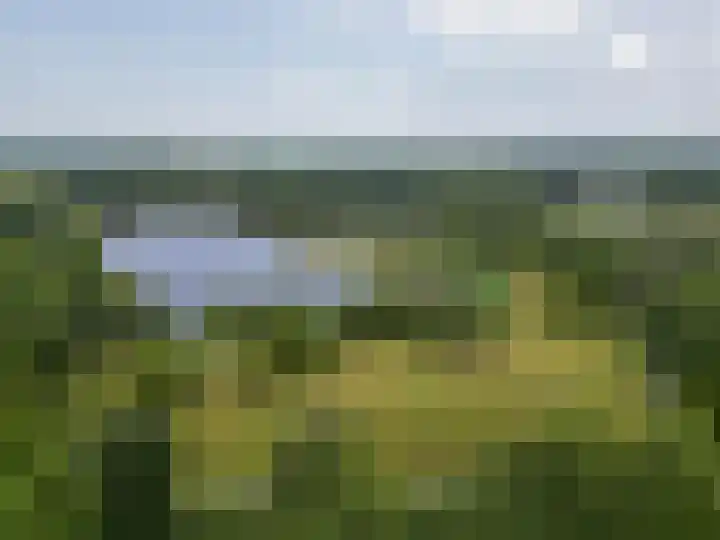 Tjamme 79 Veendam thumbnail 37