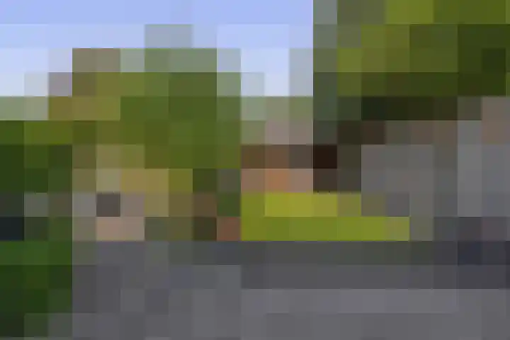 Tjamme 79 Veendam thumbnail 5