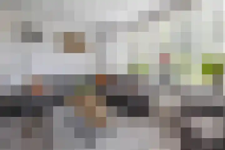Tjamme 79 Veendam thumbnail 9