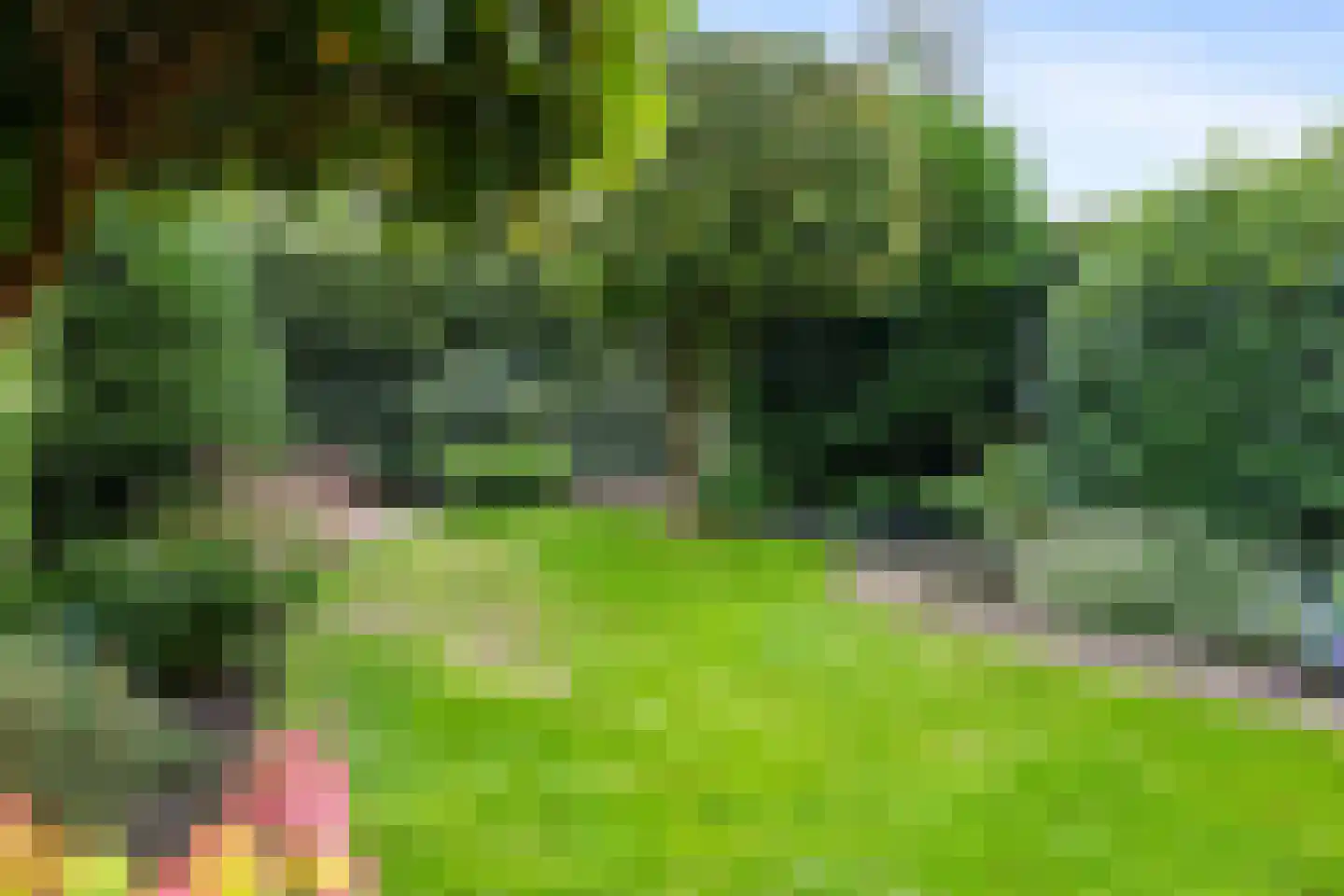 Tjamme 85 Veendam thumbnail 32