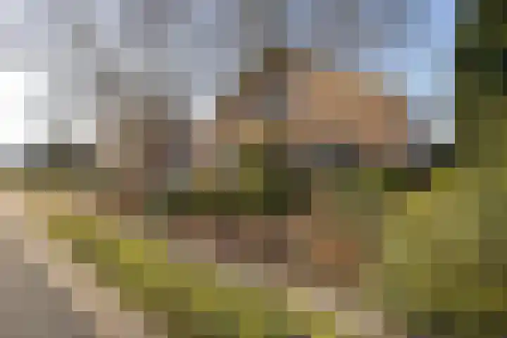 Tjamsweersterweg 13 Appingedam thumbnail 10