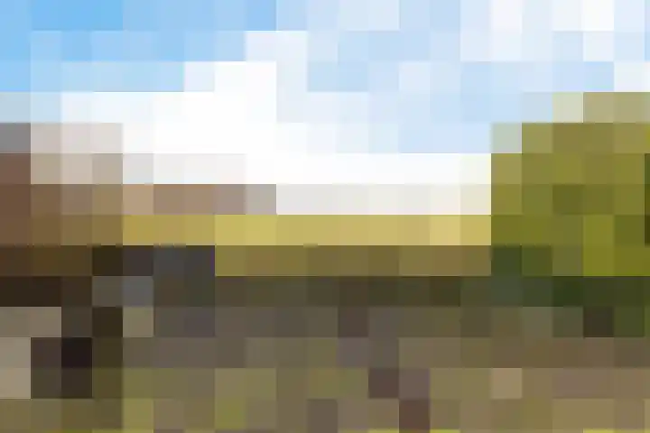 Tjamsweersterweg 13 Appingedam thumbnail 12