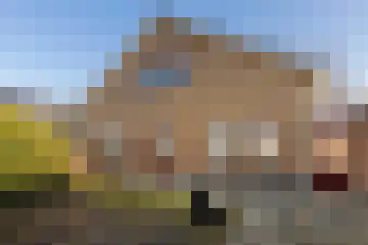 Tjamsweersterweg 13 Appingedam thumbnail 13