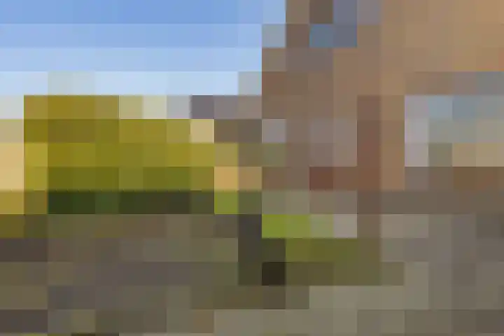 Tjamsweersterweg 13 Appingedam thumbnail 14