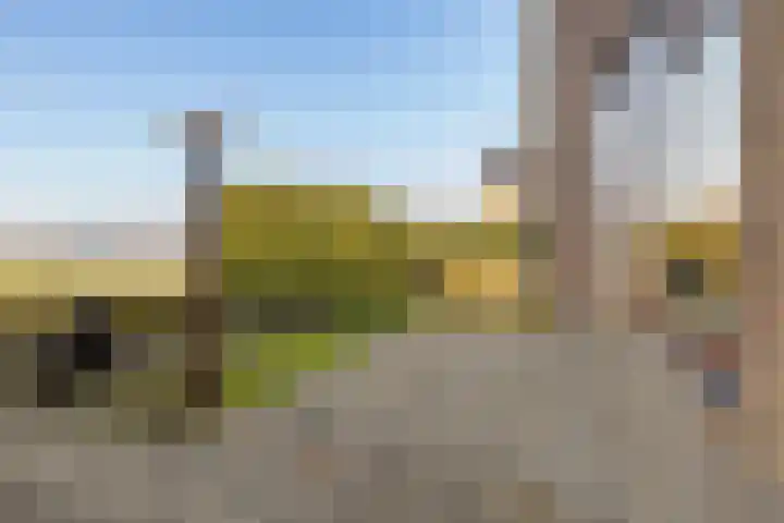 Tjamsweersterweg 13 Appingedam thumbnail 15