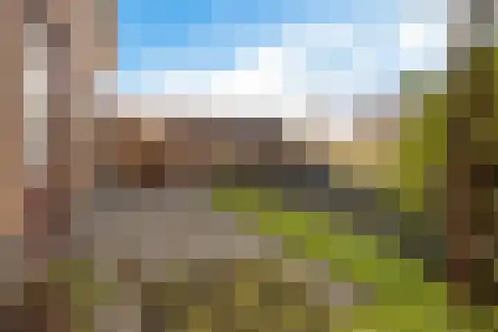 Tjamsweersterweg 13 Appingedam thumbnail 16