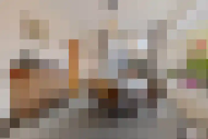 Tjamsweersterweg 13 Appingedam thumbnail 26