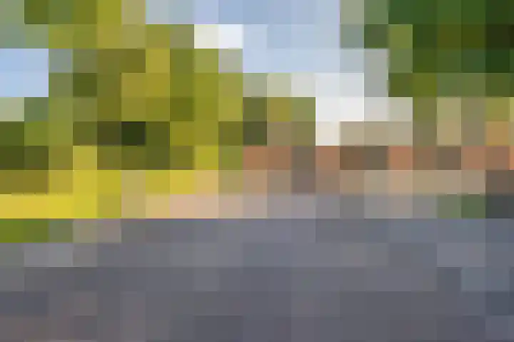 Tjarda van Starkenborghstraat 28 Roermond thumbnail 38