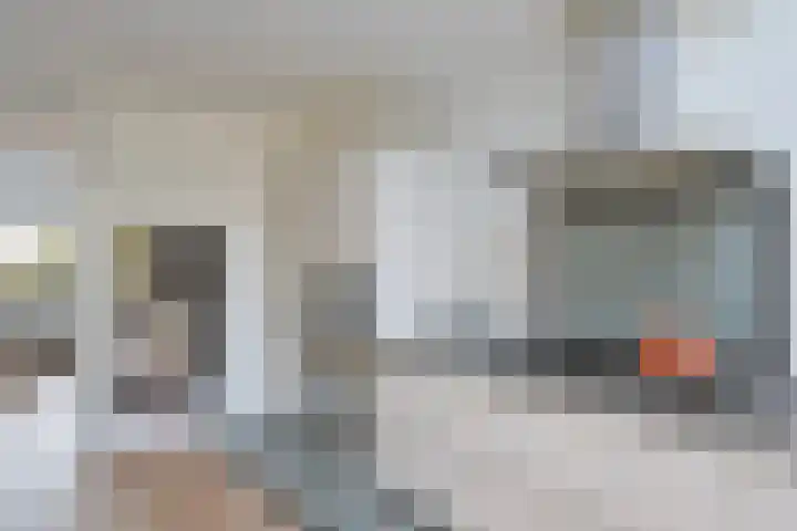 Tjariet 28 Zwolle thumbnail 11