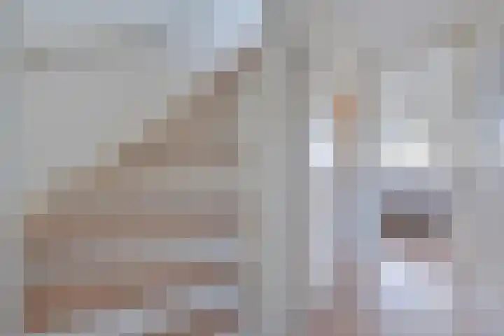 Tjariet 28 Zwolle thumbnail 14