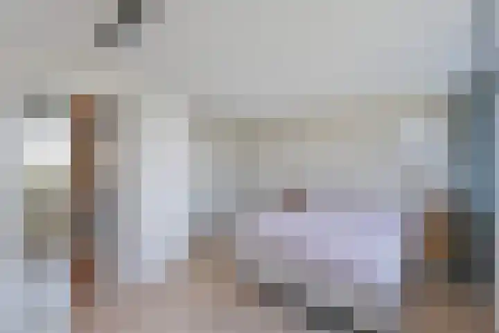 Tjariet 28 Zwolle thumbnail 16