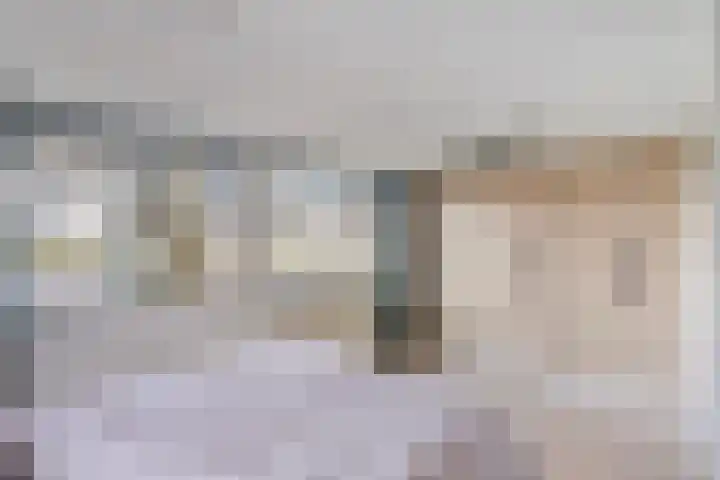 Tjariet 28 Zwolle thumbnail 17