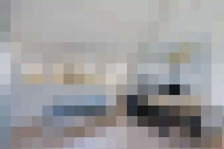 Tjariet 28 Zwolle thumbnail 22