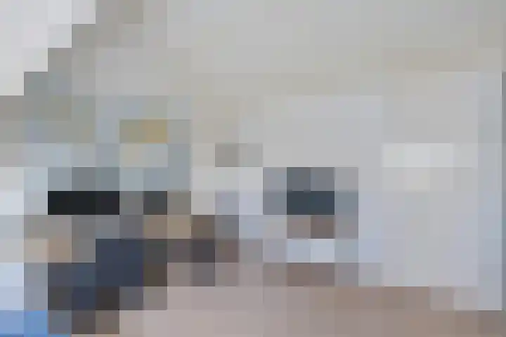 Tjariet 28 Zwolle thumbnail 23