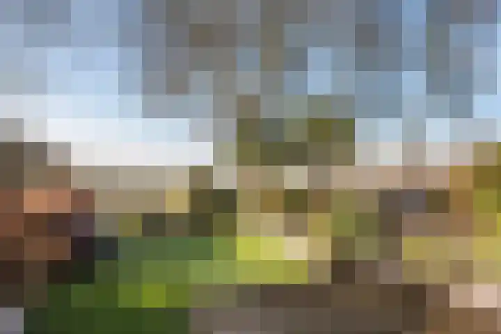 Tjariet 28 Zwolle thumbnail 26