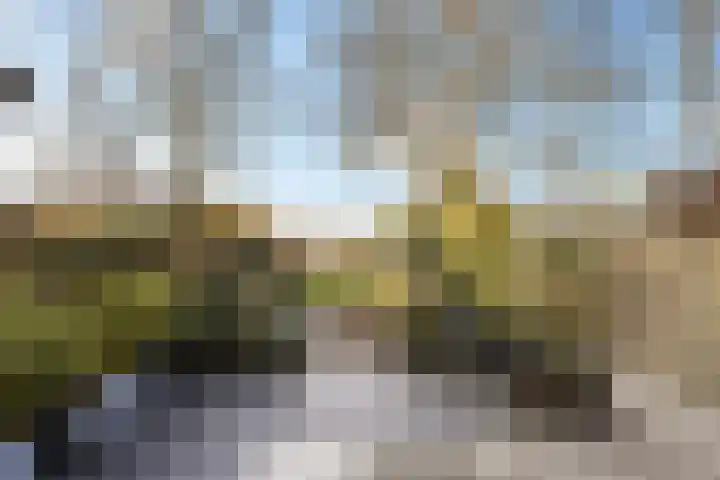 Tjariet 28 Zwolle thumbnail 29