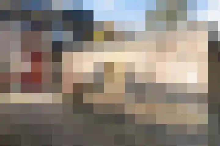 Tjariet 28 Zwolle thumbnail 30