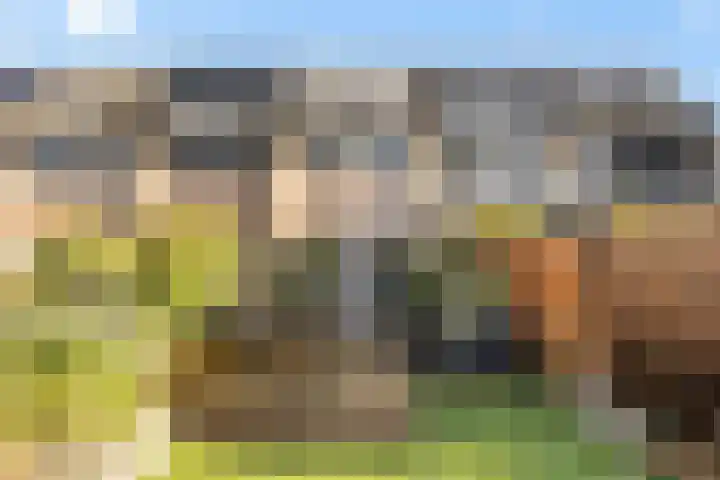 Tjariet 28 Zwolle thumbnail 31