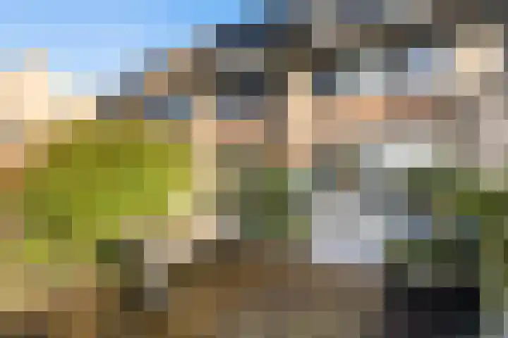 Tjariet 28 Zwolle thumbnail 32