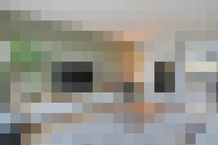 Tjariet 28 Zwolle thumbnail 4